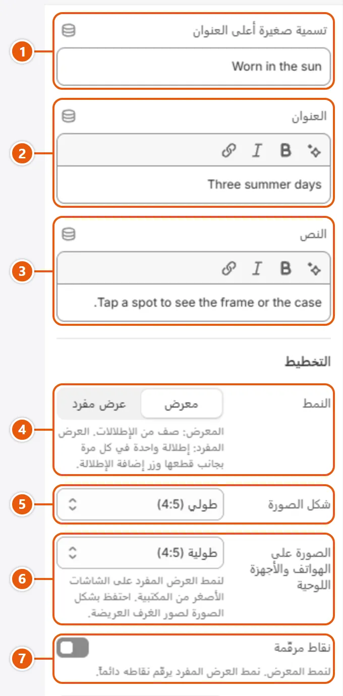 إعدادات «عارض الإطلالات» في محرر شوبيفاي (1 من 2)