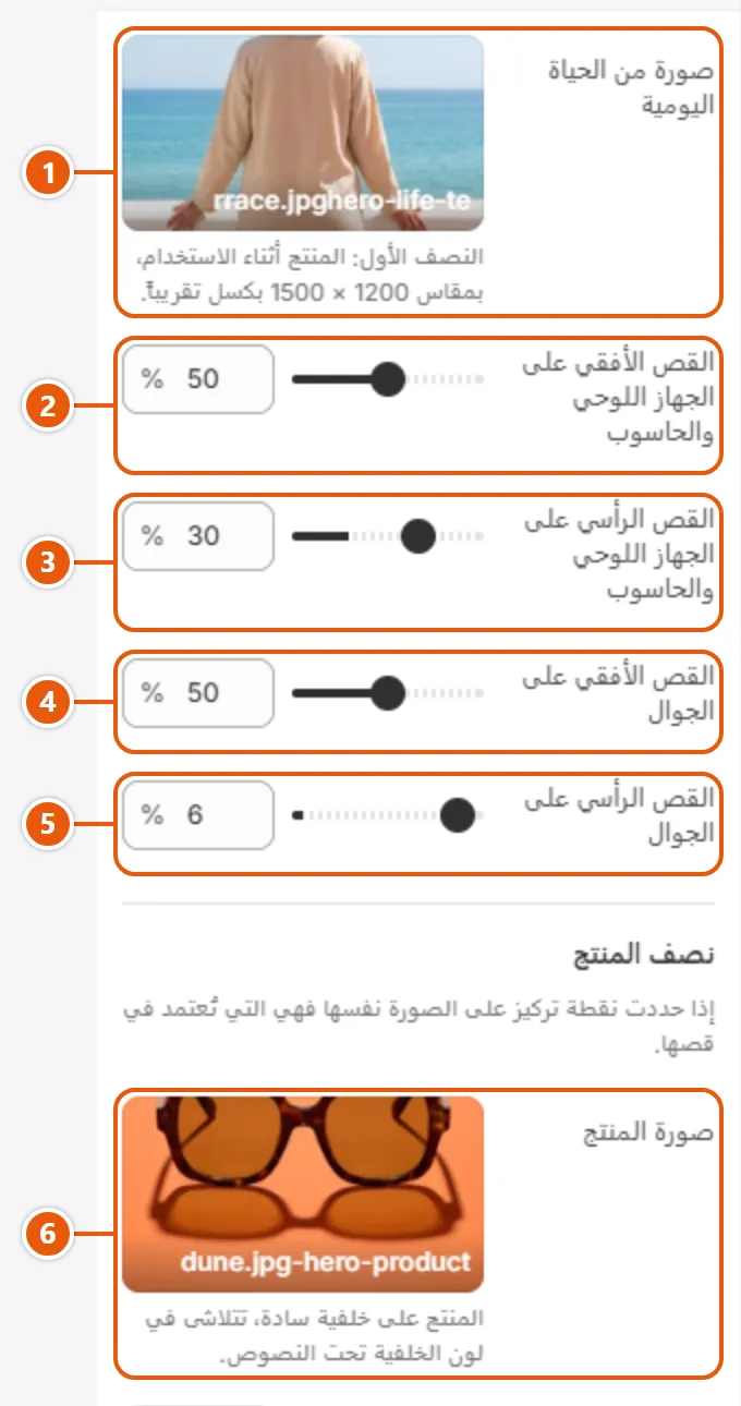 إعدادات «شريحة» في محرر شوبيفاي (1 من 3)
