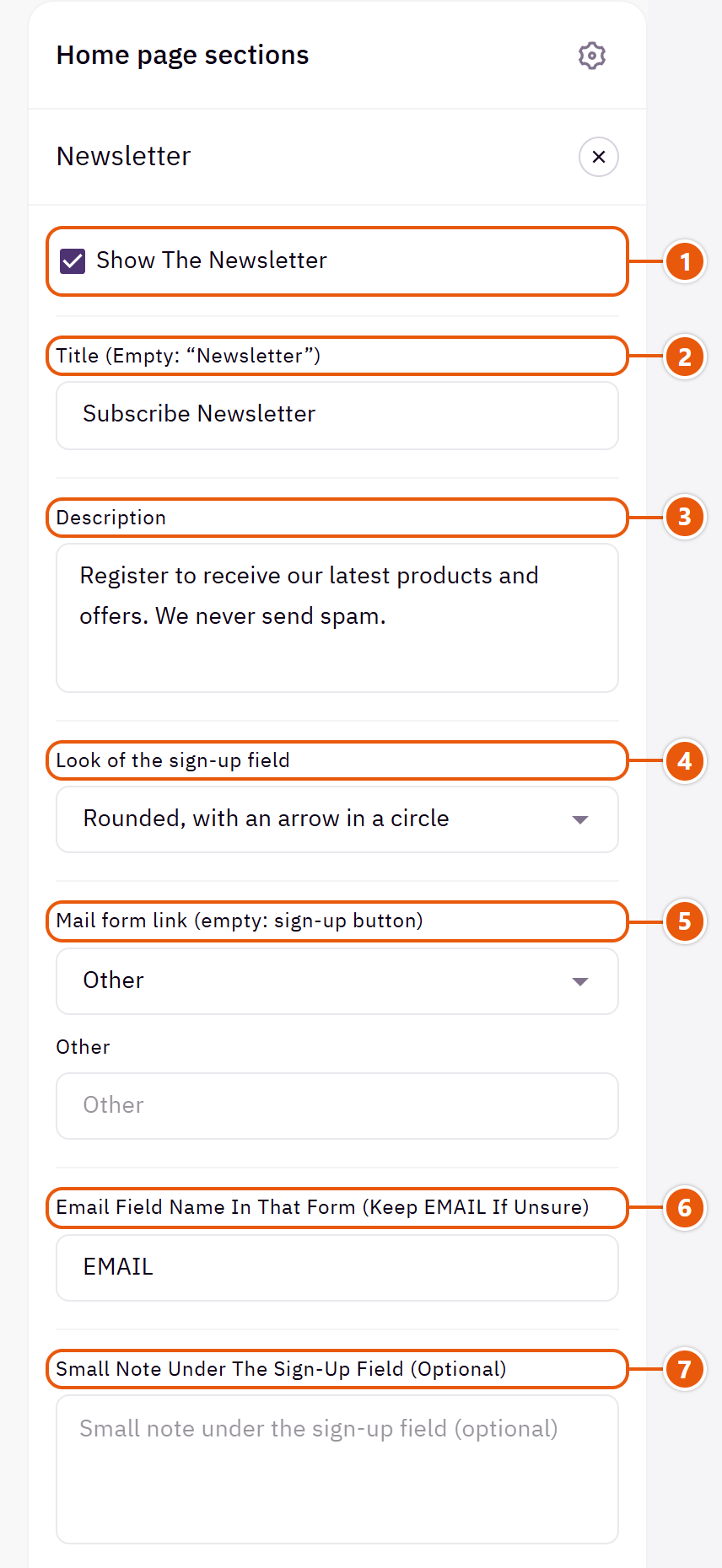 “Newsletter” settings in the Zid editor