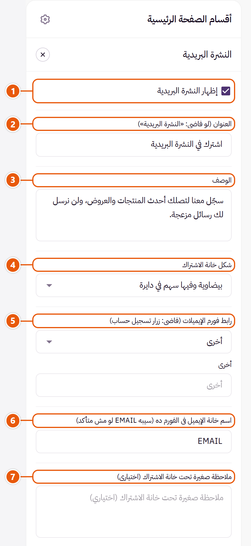 إعدادات «النشرة البريدية» في محرر زد