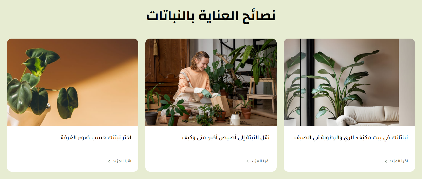 المدونة