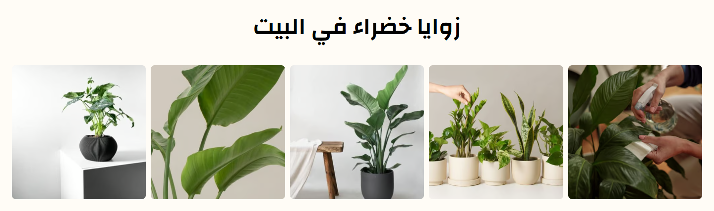 معرض صور