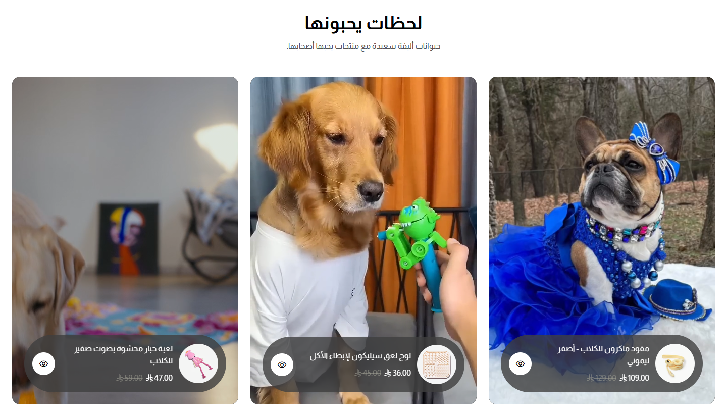 فيديوهات ومنتجاتها