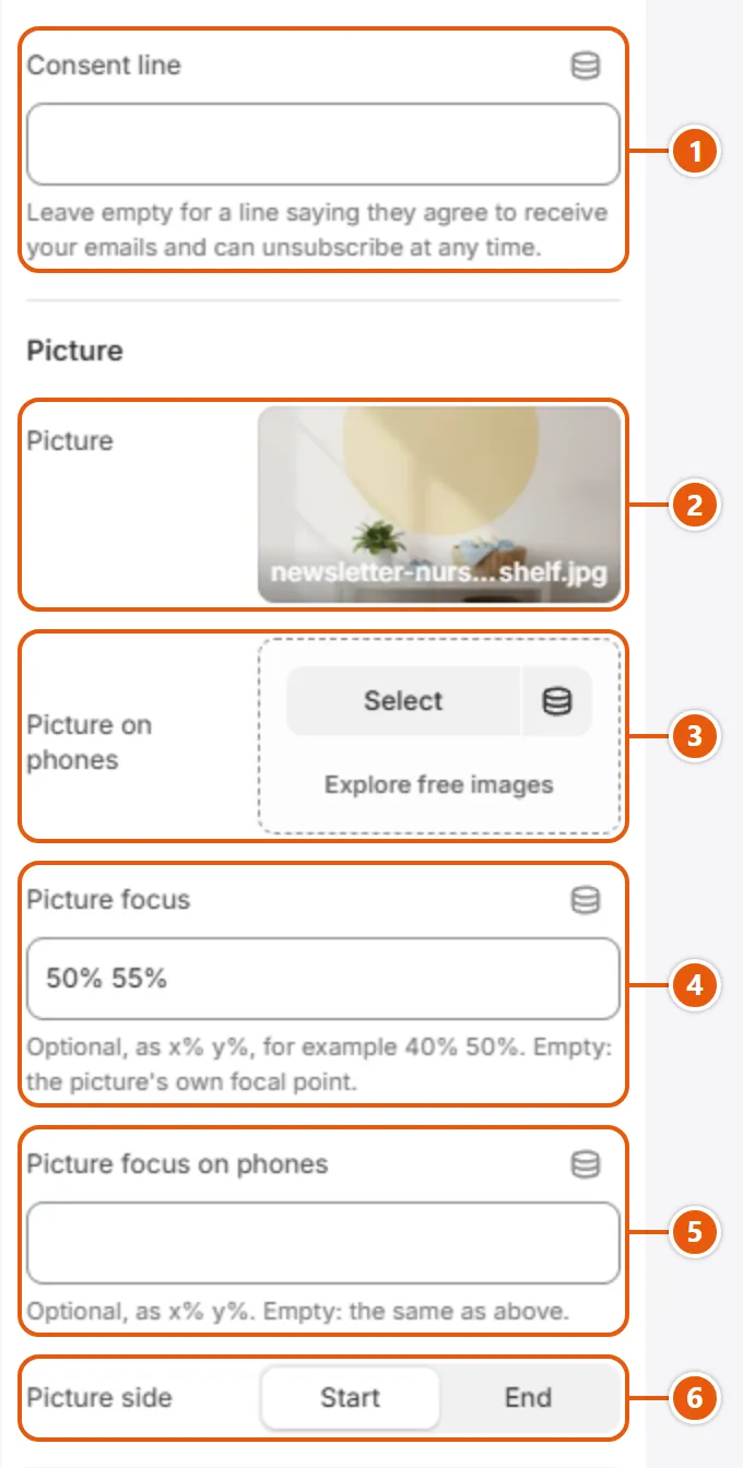 “Newsletter banner” settings in the Shopify editor (2 of 3)