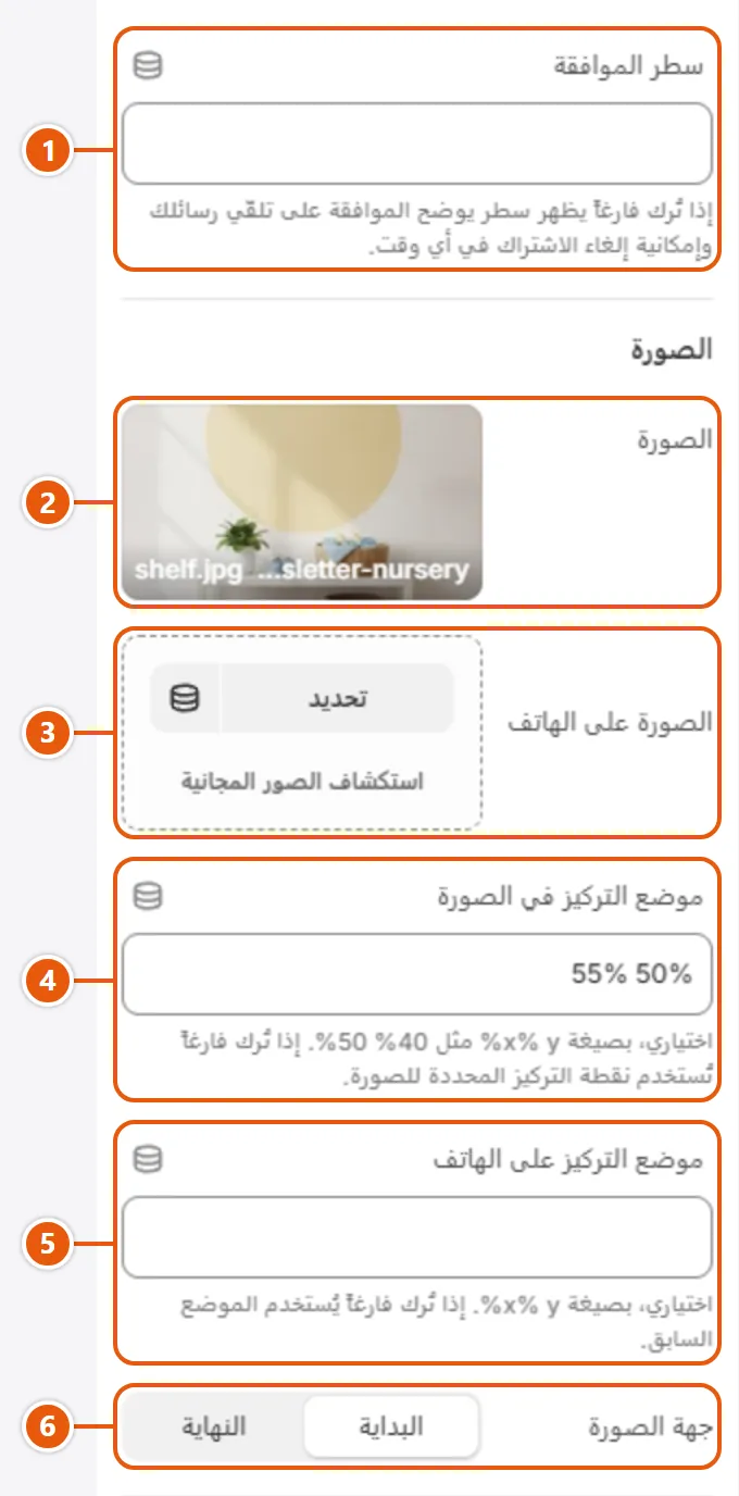 إعدادات «لافتة النشرة البريدية» في محرر شوبيفاي (2 من 3)