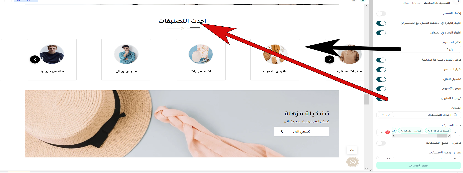 التصنيفات الخاصة