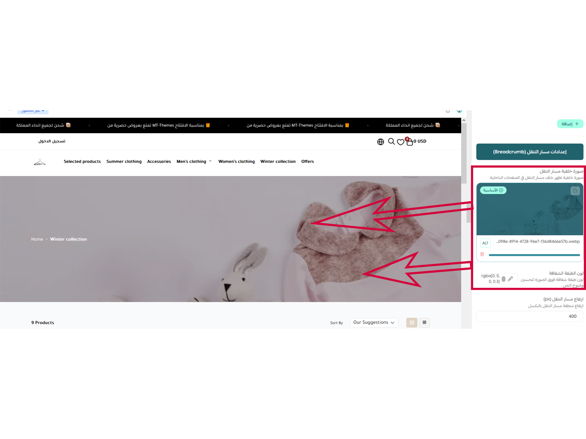 خيارات التصميم